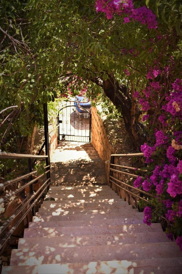 Manzara Apartment Kaş Extérieur photo